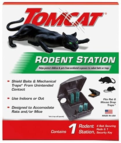 Tomcat啮齿动物站